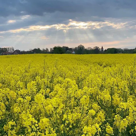 Luxus-ferien-villa Lounge