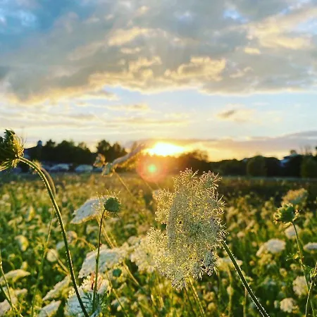 Luxus-ferien-villa Lounge *